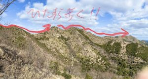 播磨アルプスの山の稜線の画像