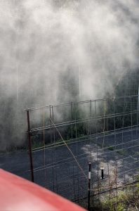 SSから霧状に噴射する液体肥料の写真