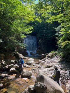 六甲山の滝の写真