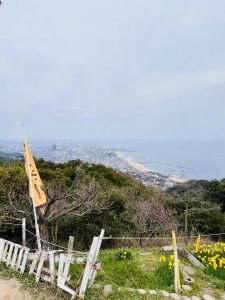 須磨浦公園　鉢伏山からの海が見える景色の写真