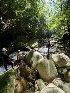 前鬼川の前半の写真、木漏れ日と小川