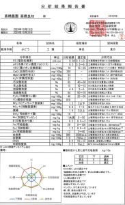 土壌検査の結果