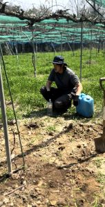 植え替えに疲れて休んでいる様子